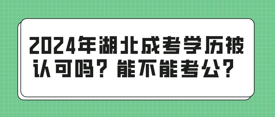 2024年湖北成考学历被认可吗？能不能考公？