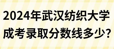 2024年武汉纺织大学成考录取分数线多少？