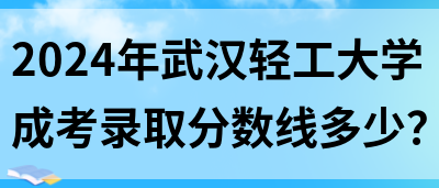 2024年武汉轻工大学成考录取分数线多少？