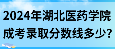 2024年湖北医药学院成考录取分数线多少？