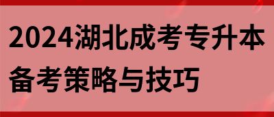 2024湖北成考专升本备考策略与技巧