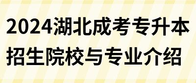 2024湖北成考专升本招生院校与专业介绍