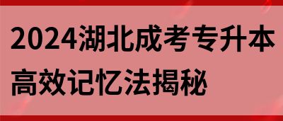 2024湖北成考专升本高效记忆法揭秘