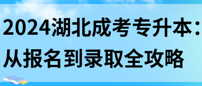 2024湖北成考专升本：从报名到录取全攻略