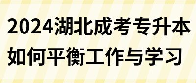 2024湖北成考专升本如何平衡工作与学习