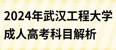 2024年武汉工程大学成人高考科目解析