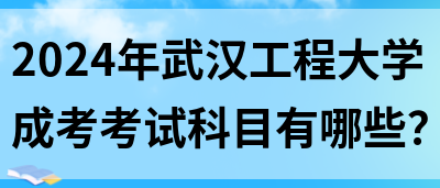 2024年武汉工程大学成考考试科目有哪些？