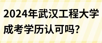 2024年武汉工程大学成考学历认可吗？