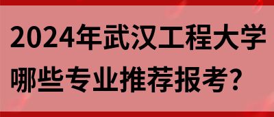 2024年武汉工程大学哪些专业推荐报考？