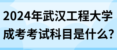 2024年武汉工程大学成考考试科目是什么？