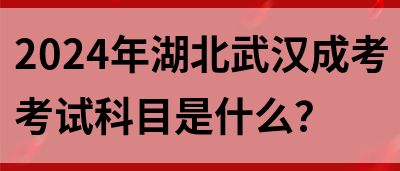 2024年湖北武汉成考考试科目是什么？