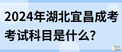 2024年湖北宜昌成考考试科目是什么？(图1)