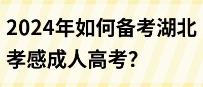 2024年如何备考湖北孝感成人高考？(图1)