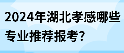 2024年湖北孝感哪些专业推荐报考？(图1)