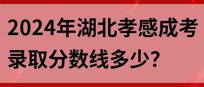 2024年湖北孝感成考录取分数线多少？(图1)