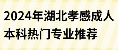 2024年湖北孝感成人本科热门专业推荐(图1)