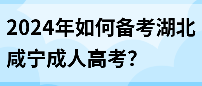 2024年如何备考湖北咸宁成人高考？(图1)