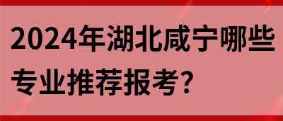 2024年湖北咸宁哪些专业推荐报考？(图1)