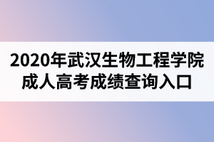 2020年武汉生物工程学院成人高考成绩查询入口