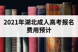 2021年湖北成人高考报名费用