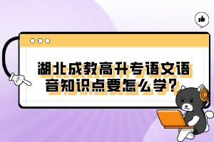 湖北成教高升专语文语音知识点要怎么学？