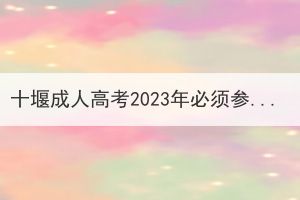 十堰成人高考2023年必须参加英语考试吗？(图1)