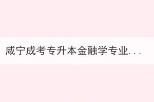 咸宁成考专升本金融学专业考哪些证书有用？