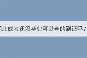 湖北成考还没毕业可以查的到证吗？