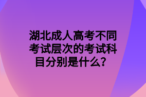 湖北成人高考不同考试层次的考试科目分别是什么？(图1)