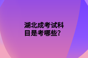 湖北成考试科目是考哪些？