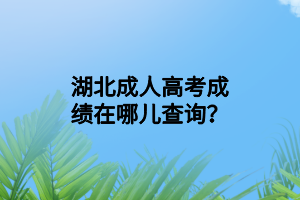 湖北成人高考成绩在哪儿查询？