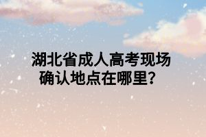 湖北省成人高考现场确认地点在哪里？(图1)