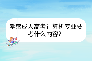 孝感成人高考计算机专业要考什么内容？