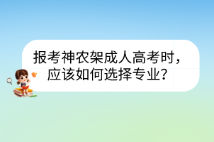 报考神农架成人高考时，应该如何选择专业？(图1)