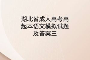 湖北省成人高考高起本语文模拟试题及答案三