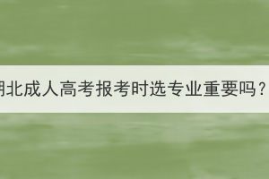 湖北成人高考报考时选专业重要吗？