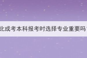 湖北成考本科报考时选择专业重要吗？