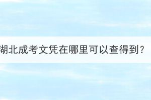 湖北成考文凭在哪里可以查得到？